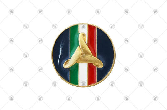 Distintivo “Protezione Civile” dorato