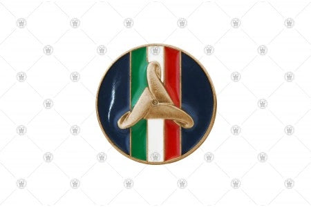 Distintivo “Protezione Civile” bronzo