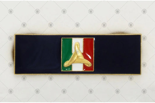 Distintivo I° Conferimento III° Livello